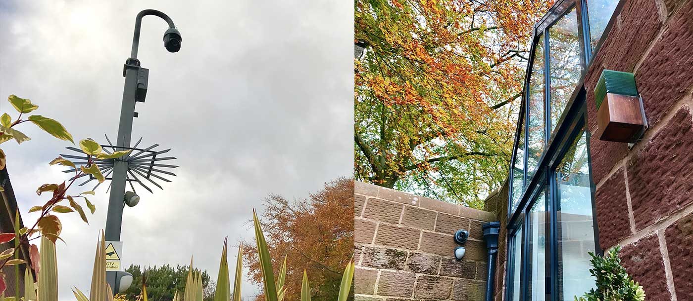 Calderstones — installation detail 2
